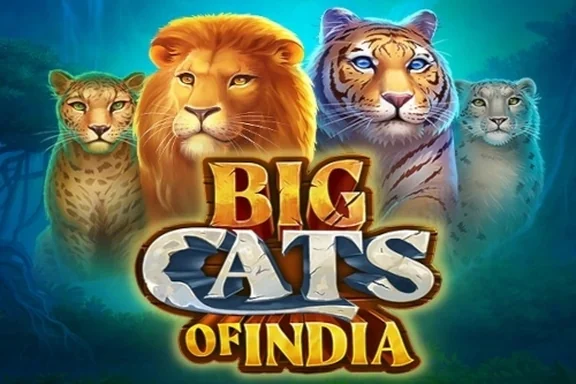Capa do slot Big Cats of India